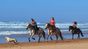 equitazione cavalli oceano algarve surf camp