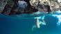 surfcamp-pure-portogallo-snorkeling-nuoto
