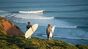 surf spot check portugal algarve camp