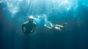mare-immersioni-algarve-surfcamp