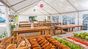 family surfcamp francia cena colazione