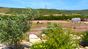 equitazione surf vacanze algarve camp