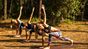 corsi di yoga in pineta francia surf camp