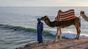 surfspot check sea view camp surf marocco