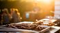 barbecue-francia-surf-camp-pure