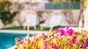 giardino fiorito piscina surflodge lisbona